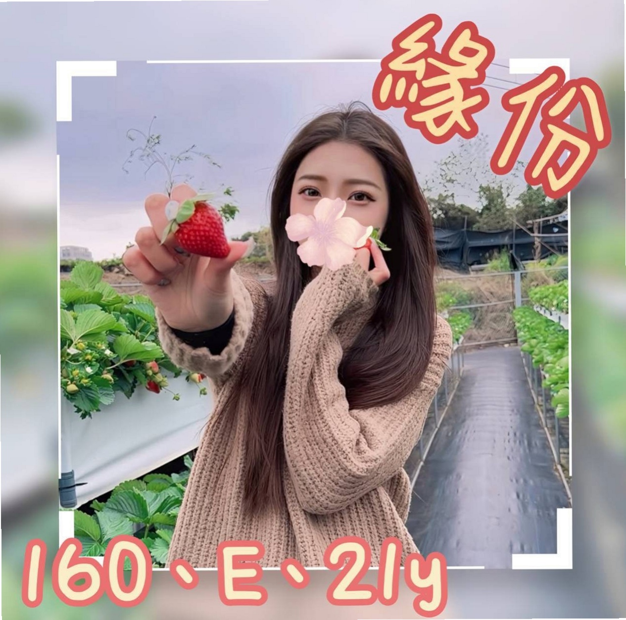 #內門#伴遊#秋霞#美容店老闆娘#身高164cm#體重49kg#胸圍E罩杯#年齡19歲#客人評價 床上會主動 做到客人身上搖  誘人的身材甜美長相床上風騷主動骨感型